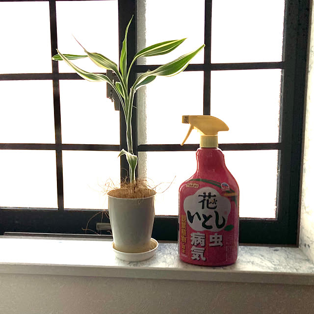MOMOMAMAさんの実例写真