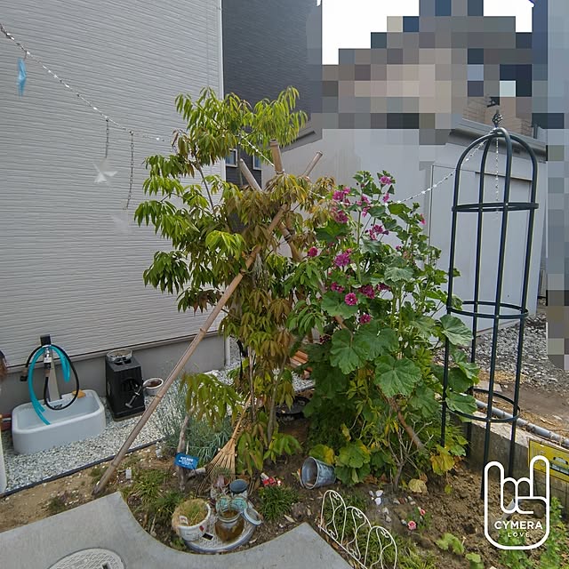 nrsim+kmymさんの実例写真