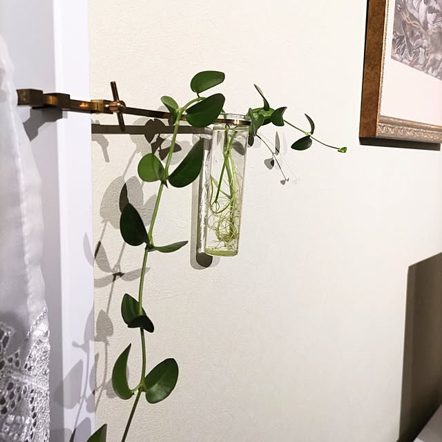 Maroさんの実例写真