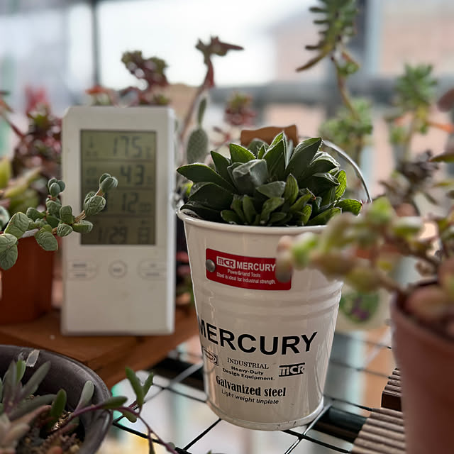 Aqettyさんの部屋