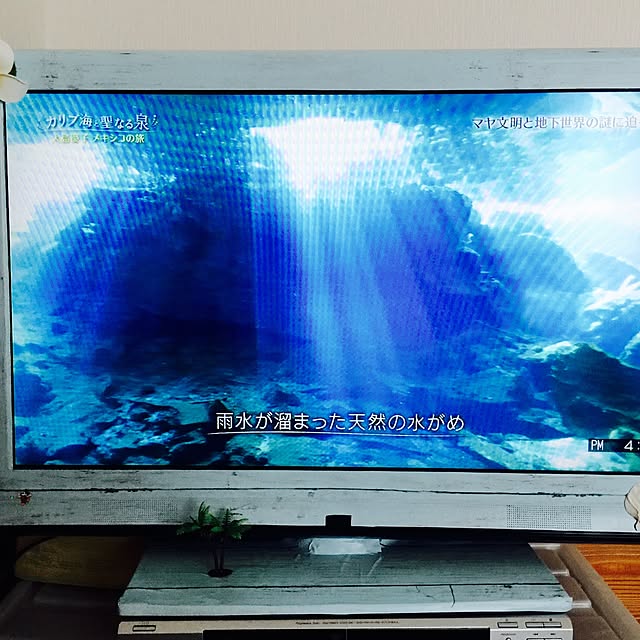 malditaさんの実例写真