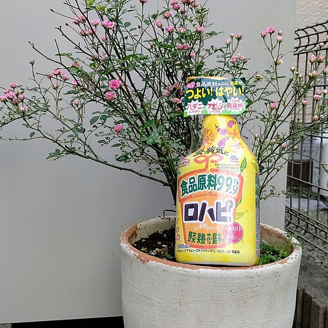 Ri-さんの部屋
