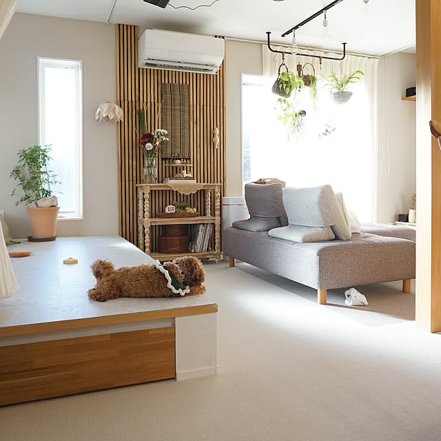 lalaoinkさんの実例写真