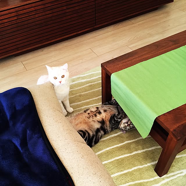 y.k.0123さんの実例写真