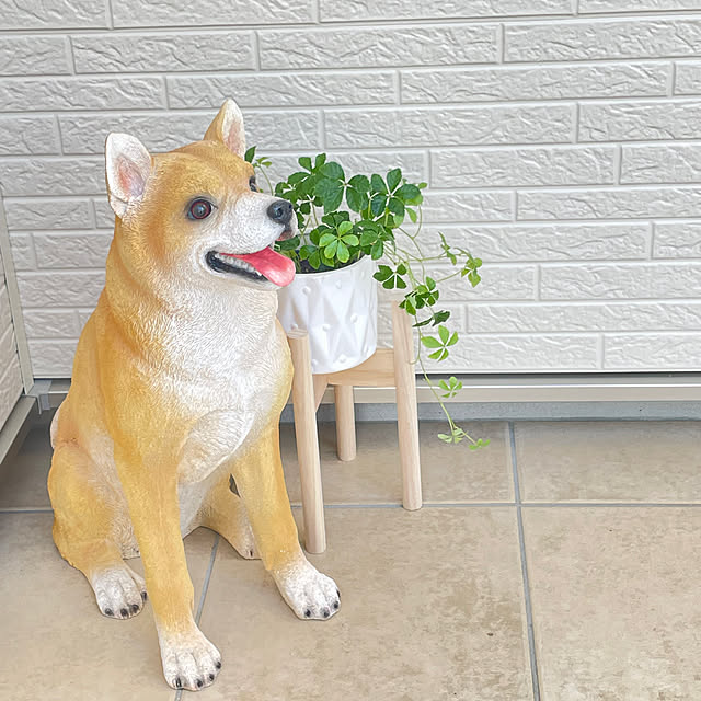 haru..さんの部屋