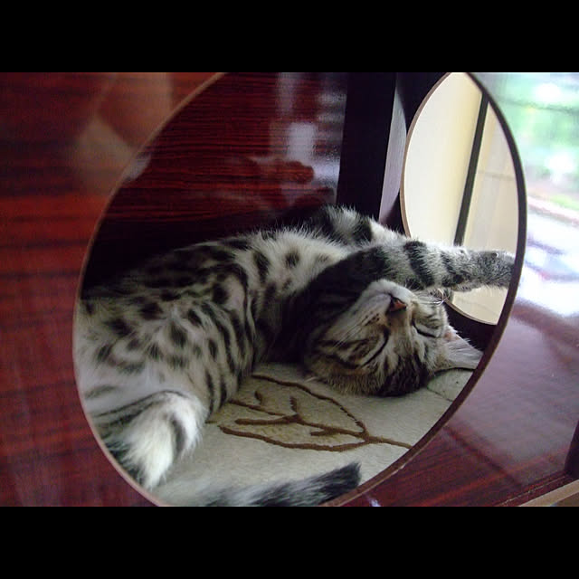 Nanaさんの実例写真