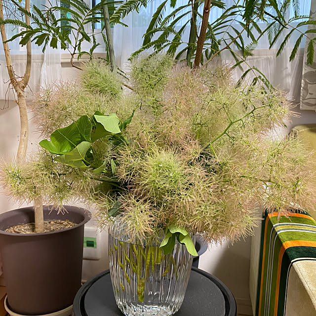 sattoさんの部屋