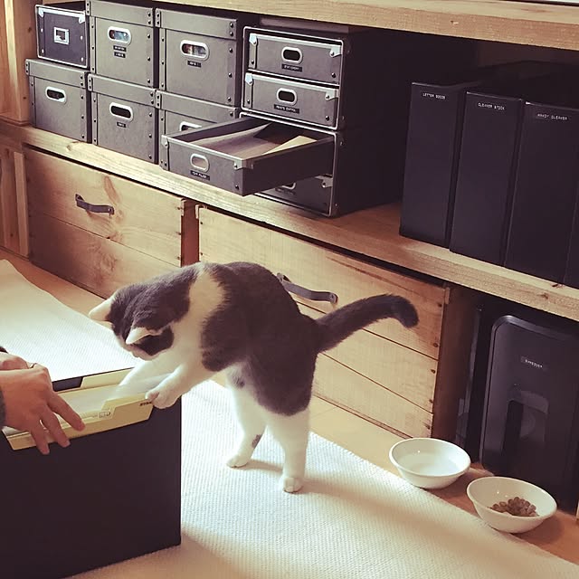 yunさんの実例写真