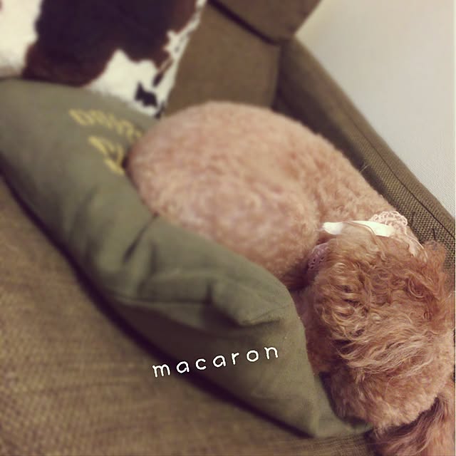 meaさんの実例写真