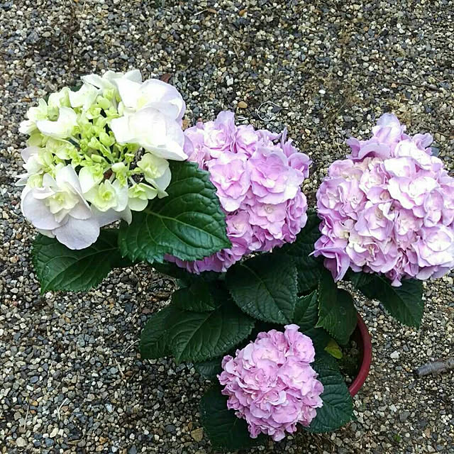 HIRO.TA29さんの実例写真