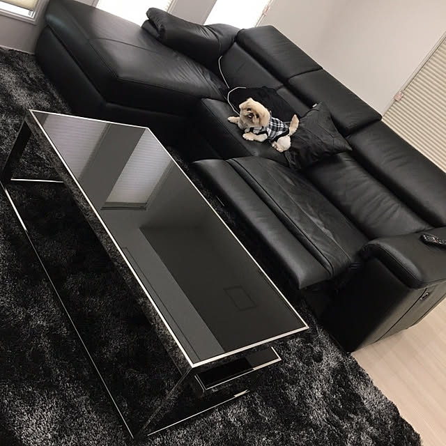 apさんの実例写真