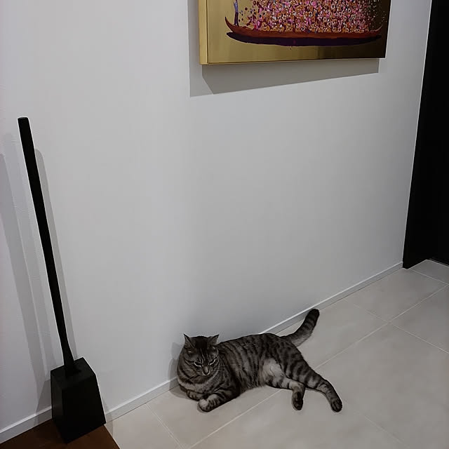 dsimbaさんの実例写真