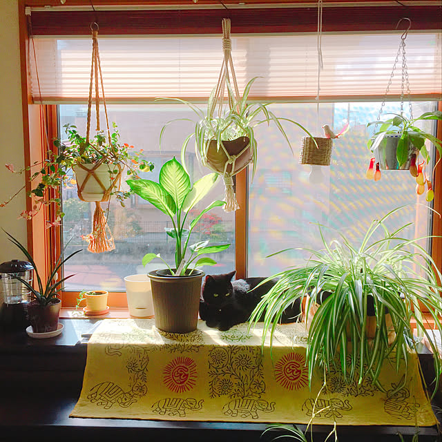 nanaさんの実例写真
