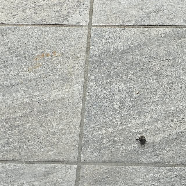 Rubiconさんの部屋