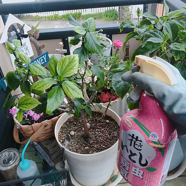 Malamaさんの実例写真
