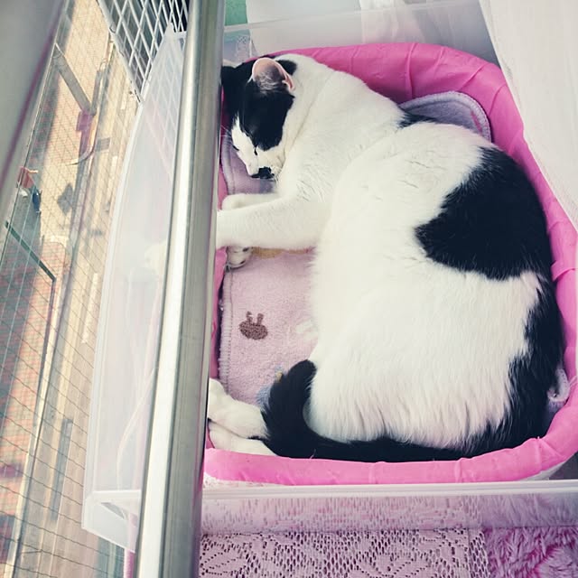 fu-ka24さんの実例写真