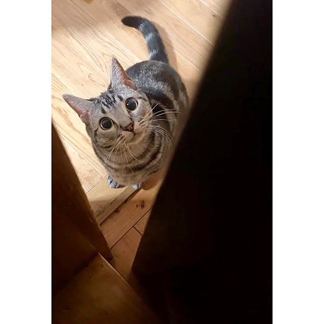 yumiさんの実例写真