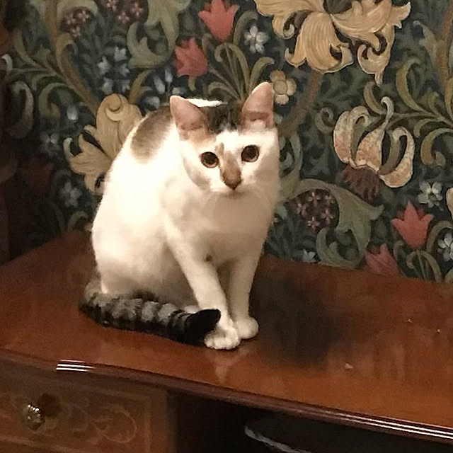 jumpさんの実例写真