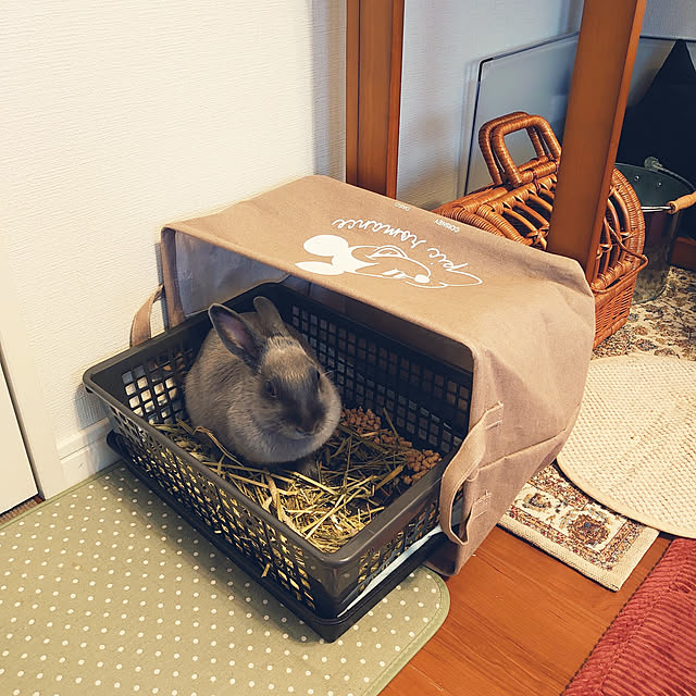 kirariさんの実例写真