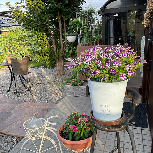 ronronさんの部屋