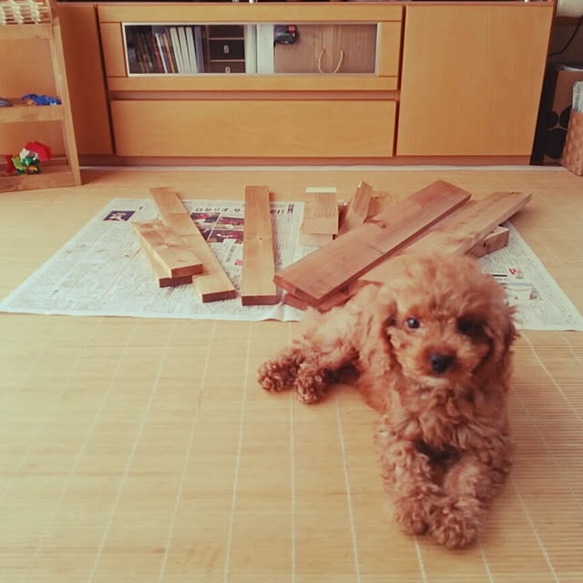tomoki.さんの実例写真