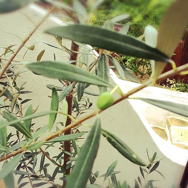 souさんの実例写真