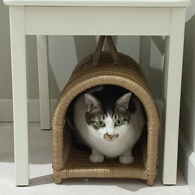 yuchiさんの実例写真