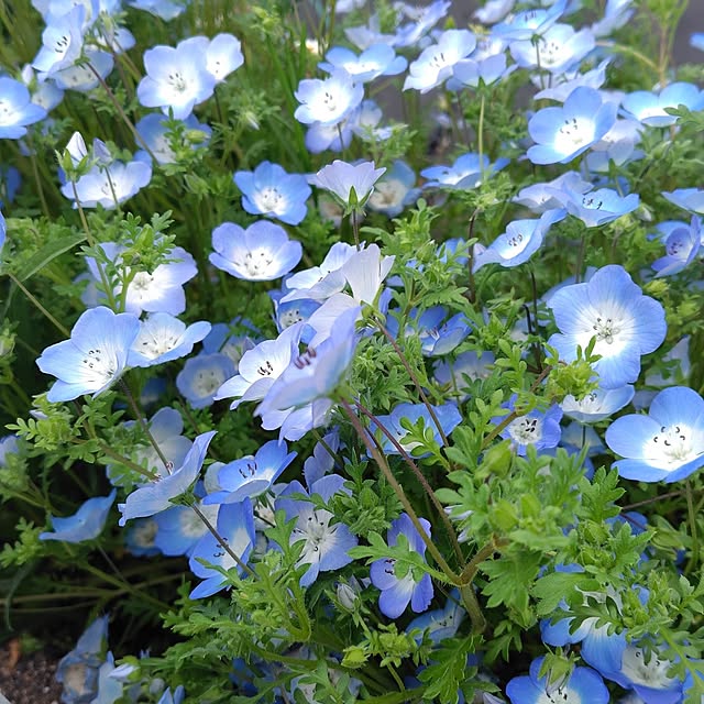 kaokaokaoさんの部屋