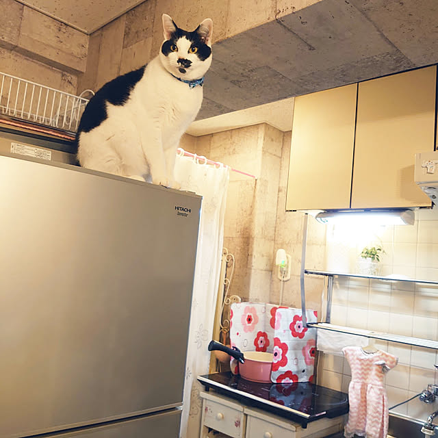 asuminさんの実例写真