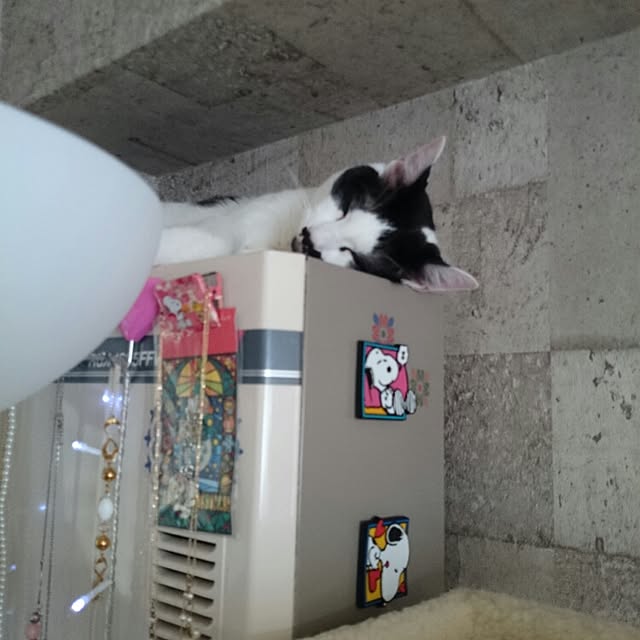 fu-ka24さんの実例写真