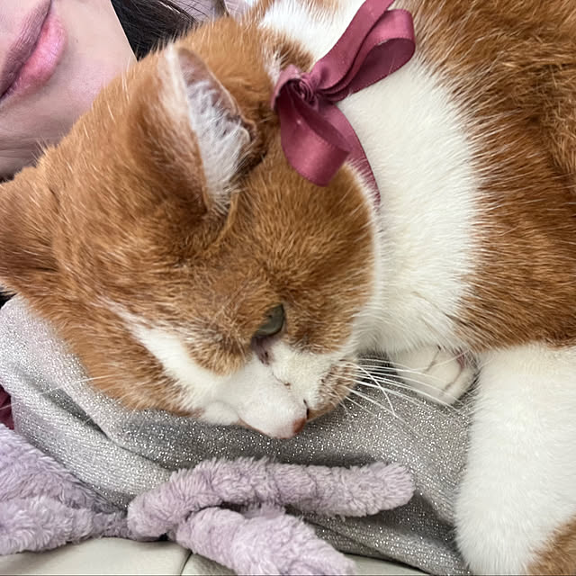 sakuraさんの実例写真