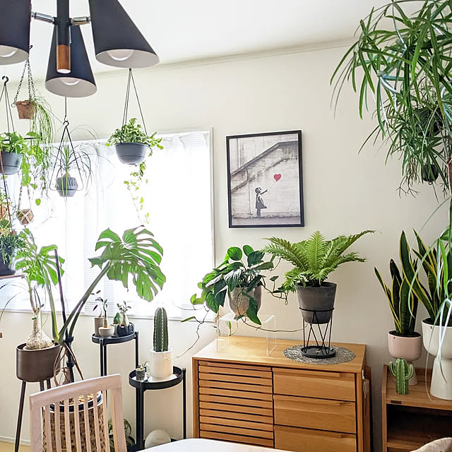 ayamameさんの実例写真