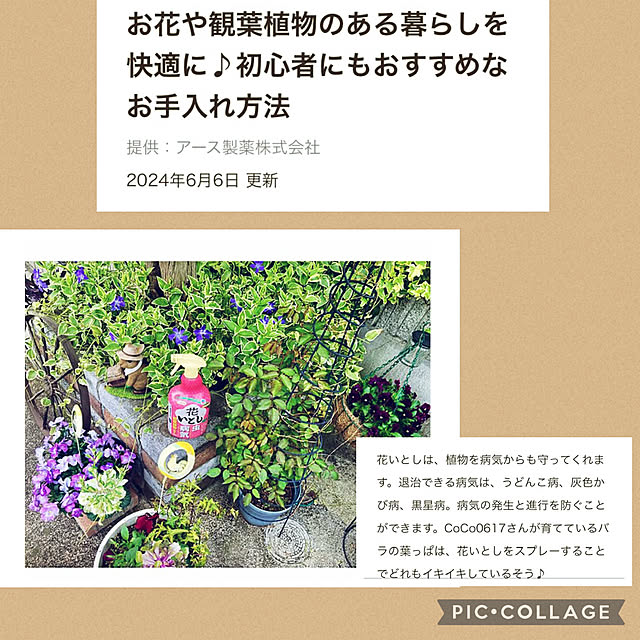 CoCo0617さんの実例写真