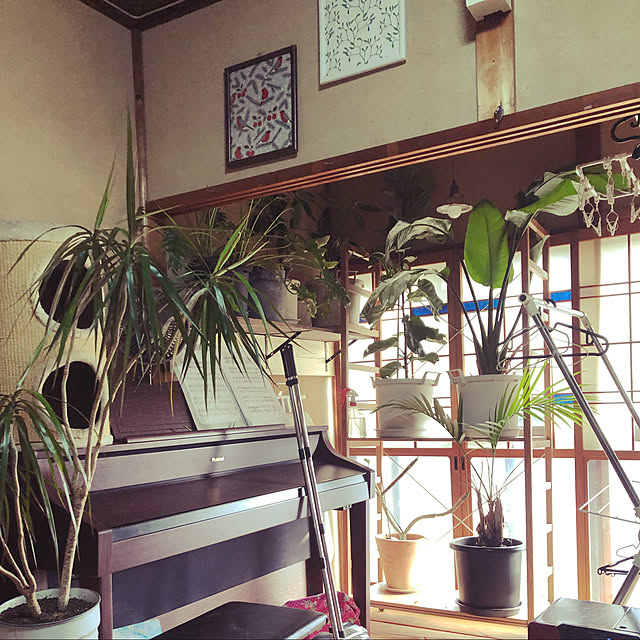 DIY/観葉植物/無印良品/リビングのインテリア実例 - 2022-02-15 11:47:29