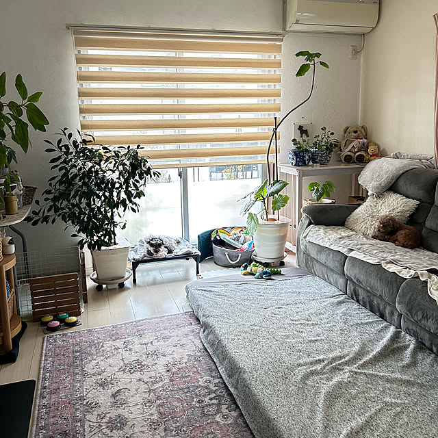 alchoさんの部屋