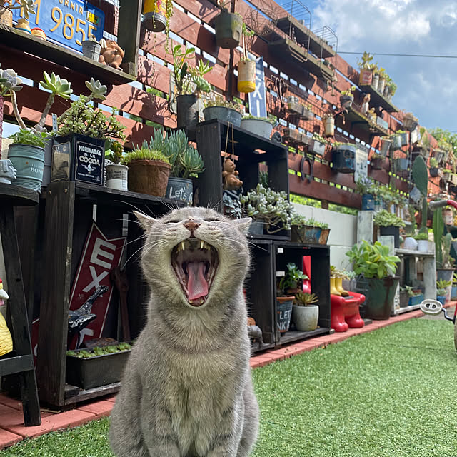 umi96さんの実例写真