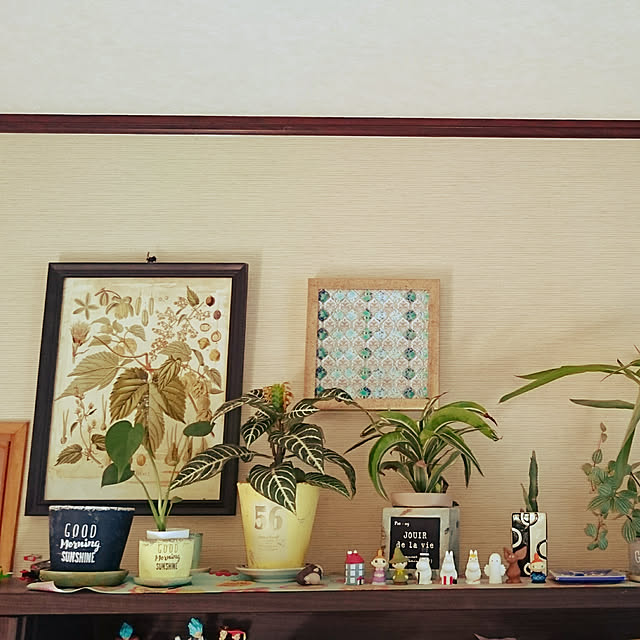 nicocoさんの実例写真