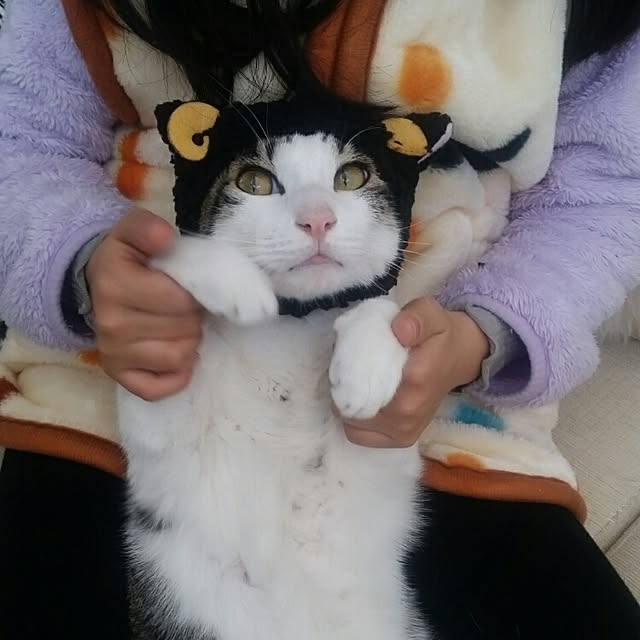 runayucoさんの実例写真
