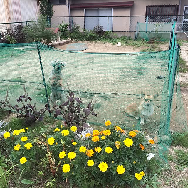 riicolatteさんの実例写真