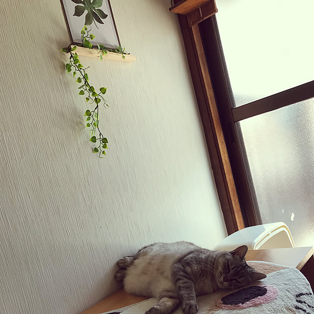 mitukoskyさんの実例写真