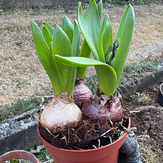 mayumiさんの部屋