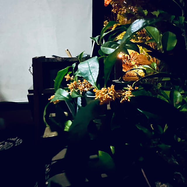 chacoさんの部屋