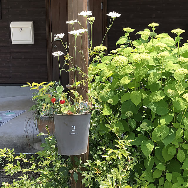 tsukiyuzuさんの実例写真