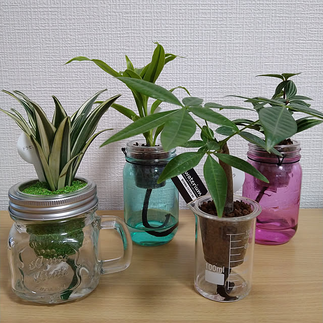 chiicoさんの実例写真