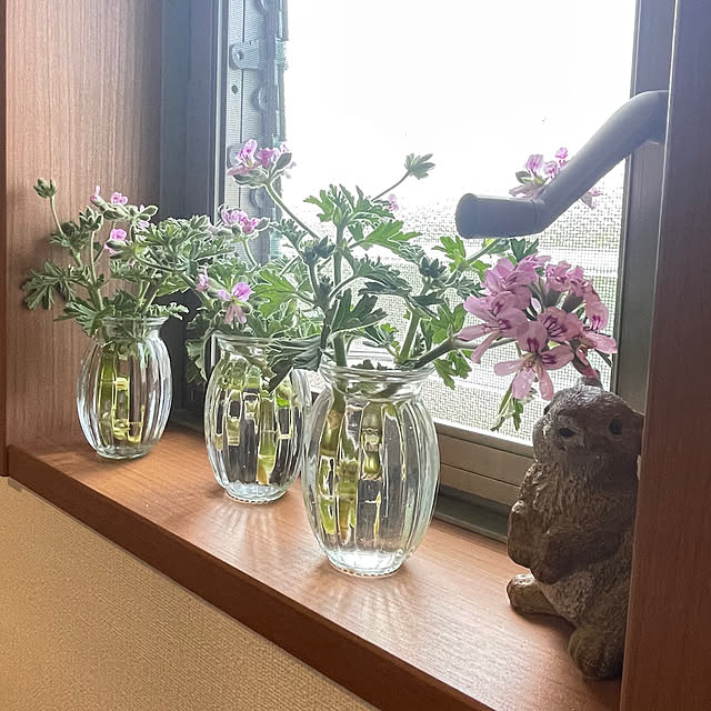 SIELUさんの実例写真