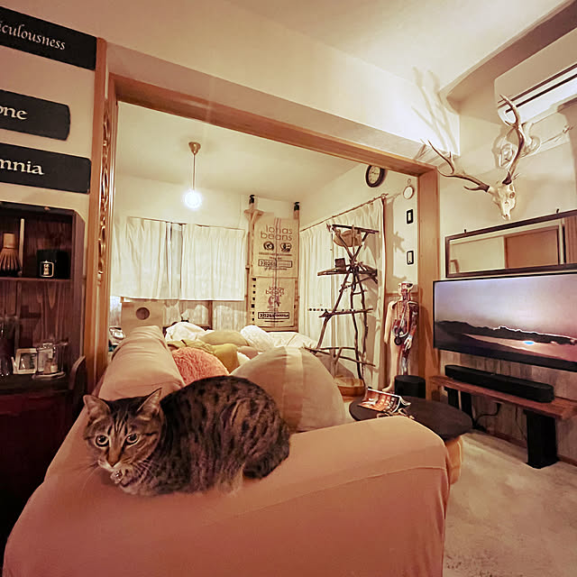 Mさんの部屋