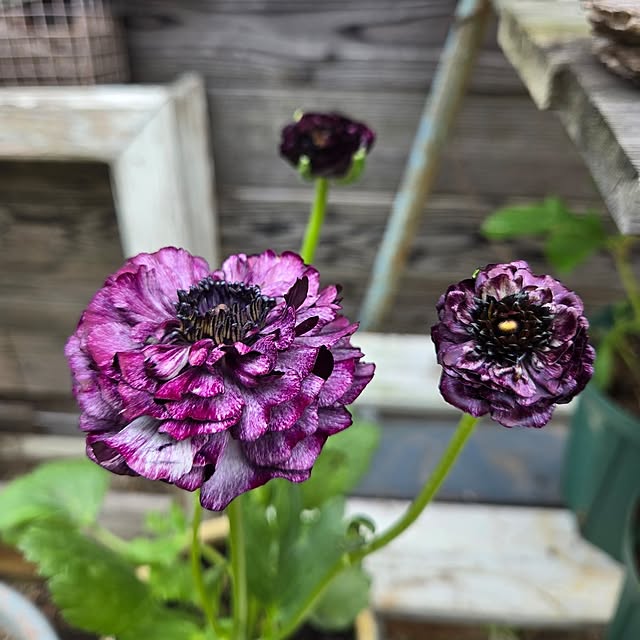 min_nimさんの実例写真