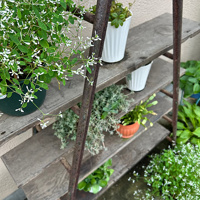 nana77さんの部屋