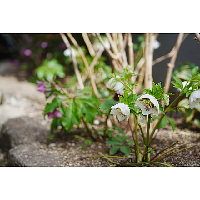 haruisabelさんの部屋