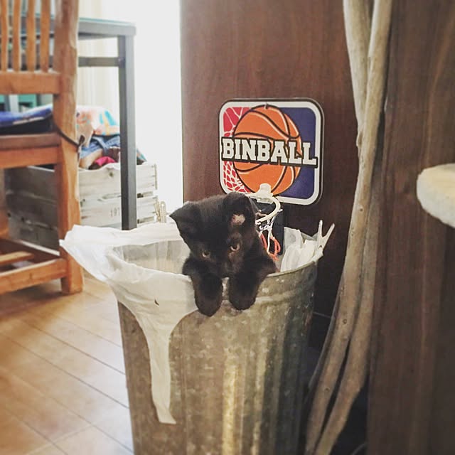bowbowcoさんの実例写真